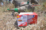Thumbnails_Pratley Putty used in the efforts to protect rhinos